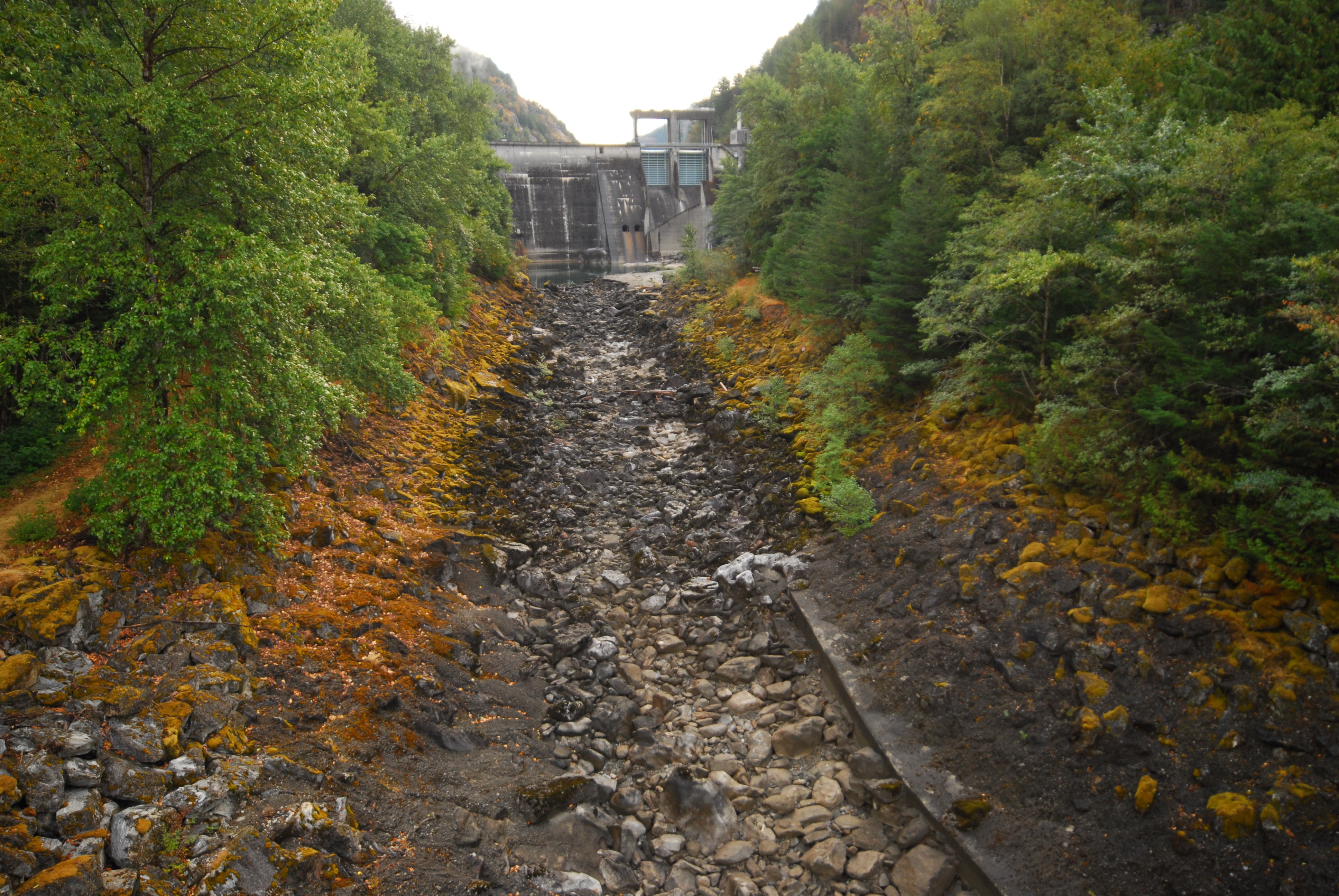 Dewatered River Channel Downstream of Gorge Dam