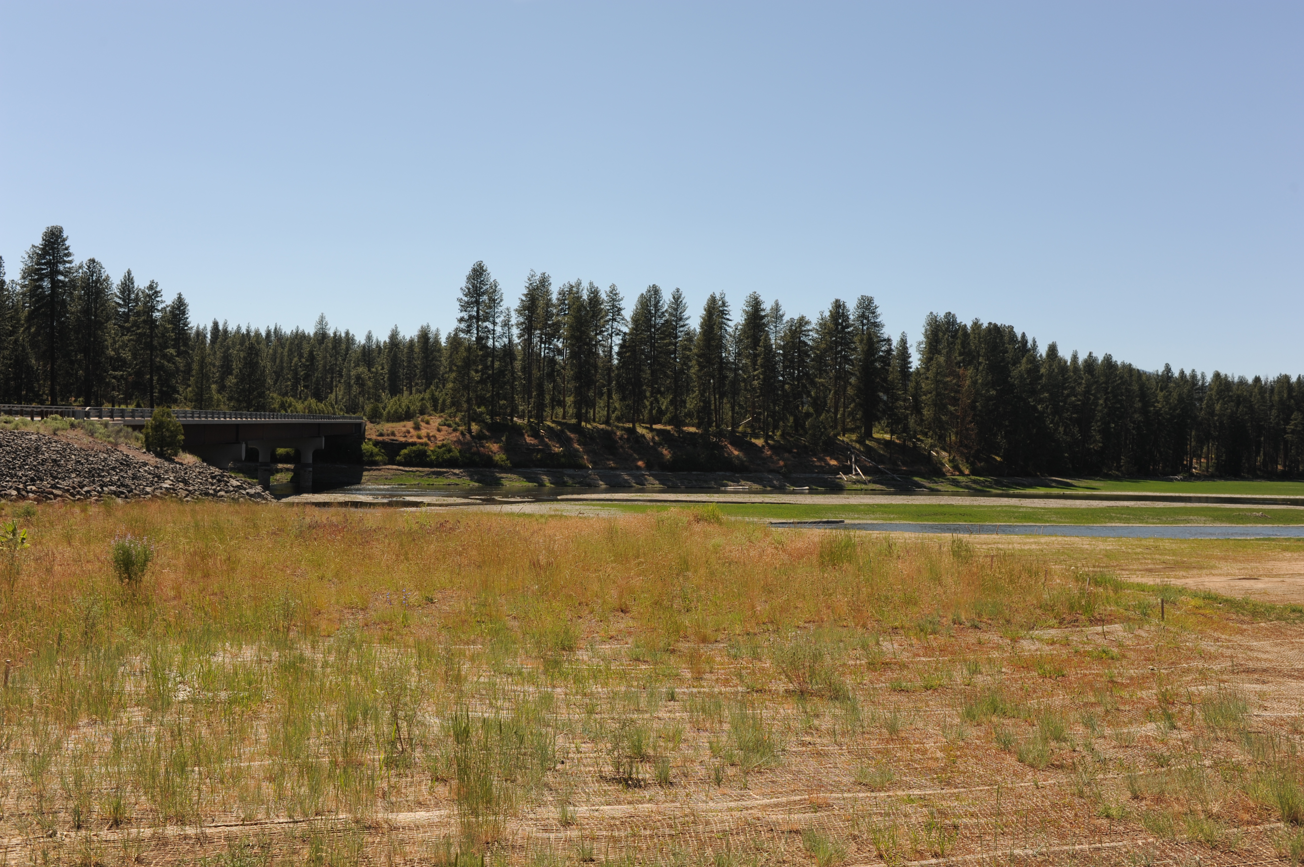 Pioneer Park East