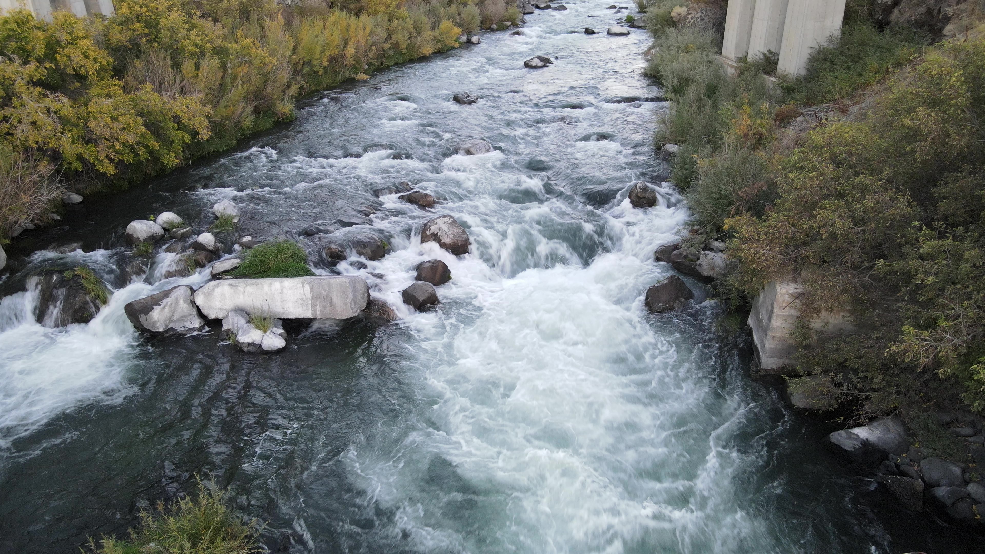 Brigde drop.