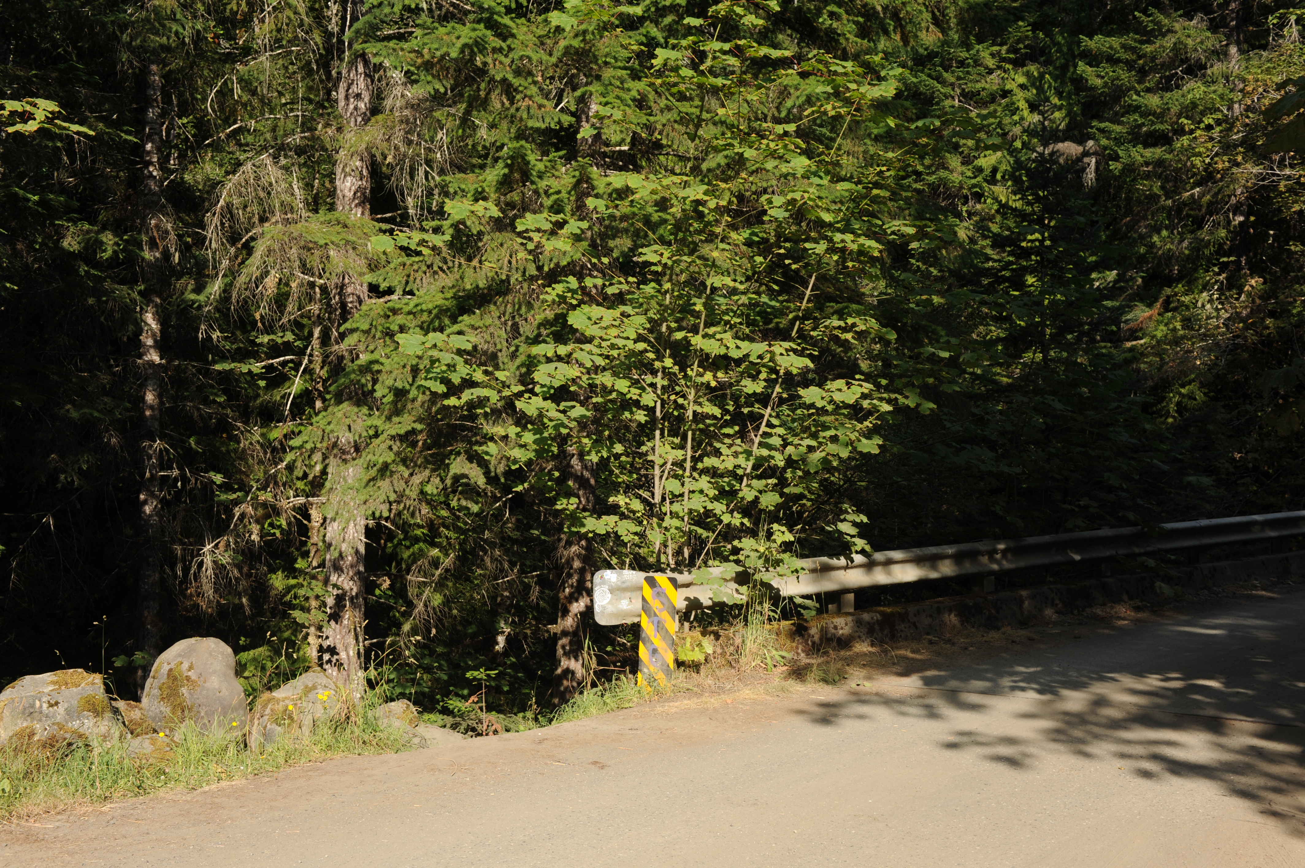 Forest Road 2870 Bridge