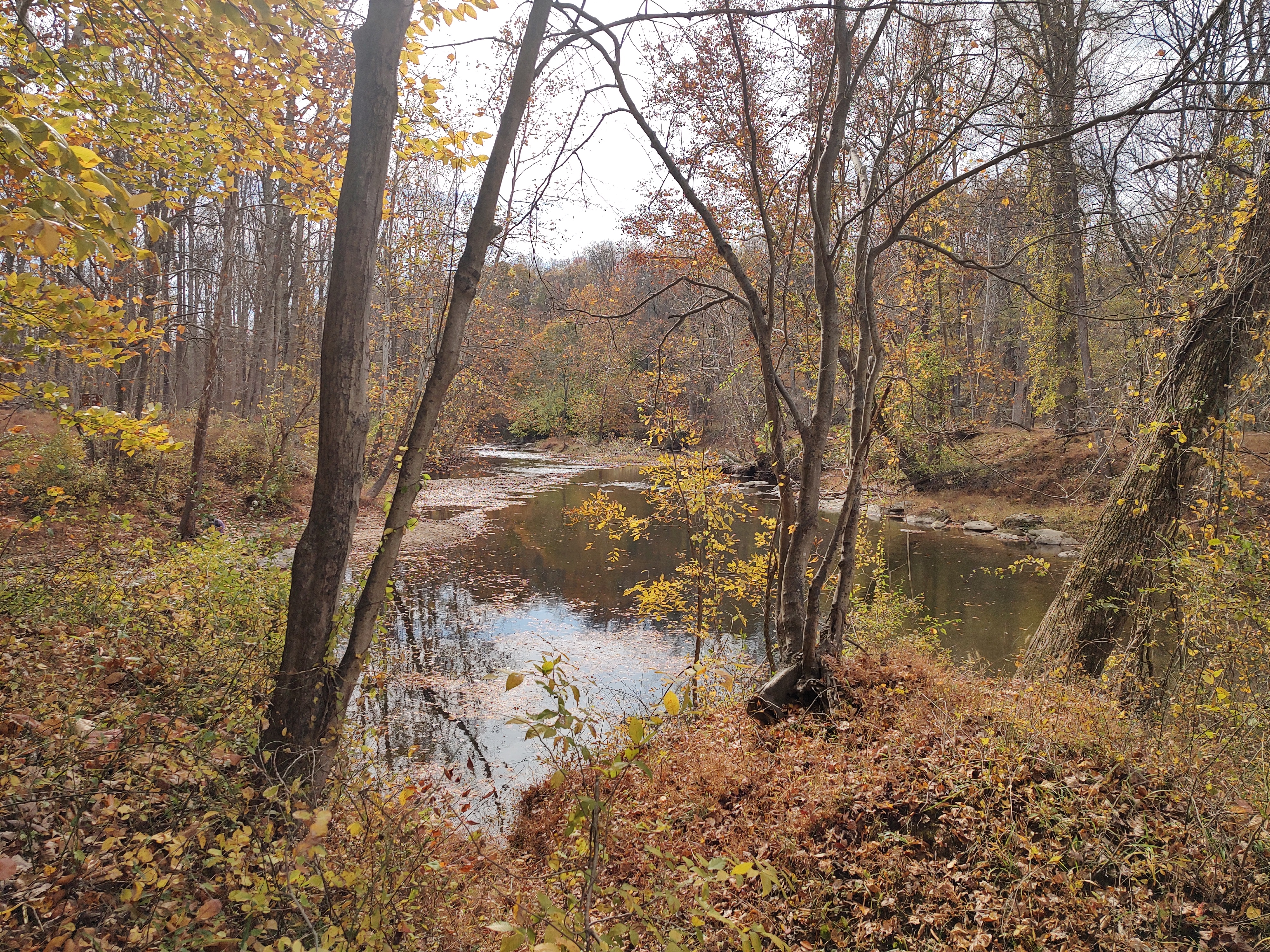 Start of Reach - Confluence of North & South Branchs of the Patapsco