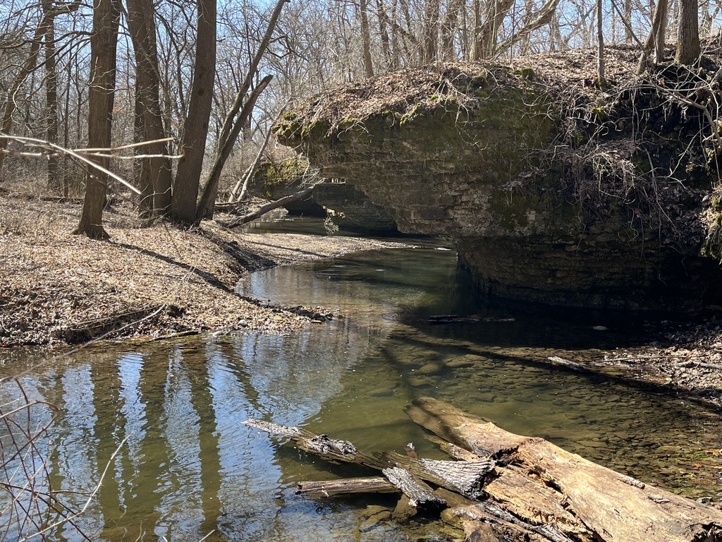Spring Brook confluence