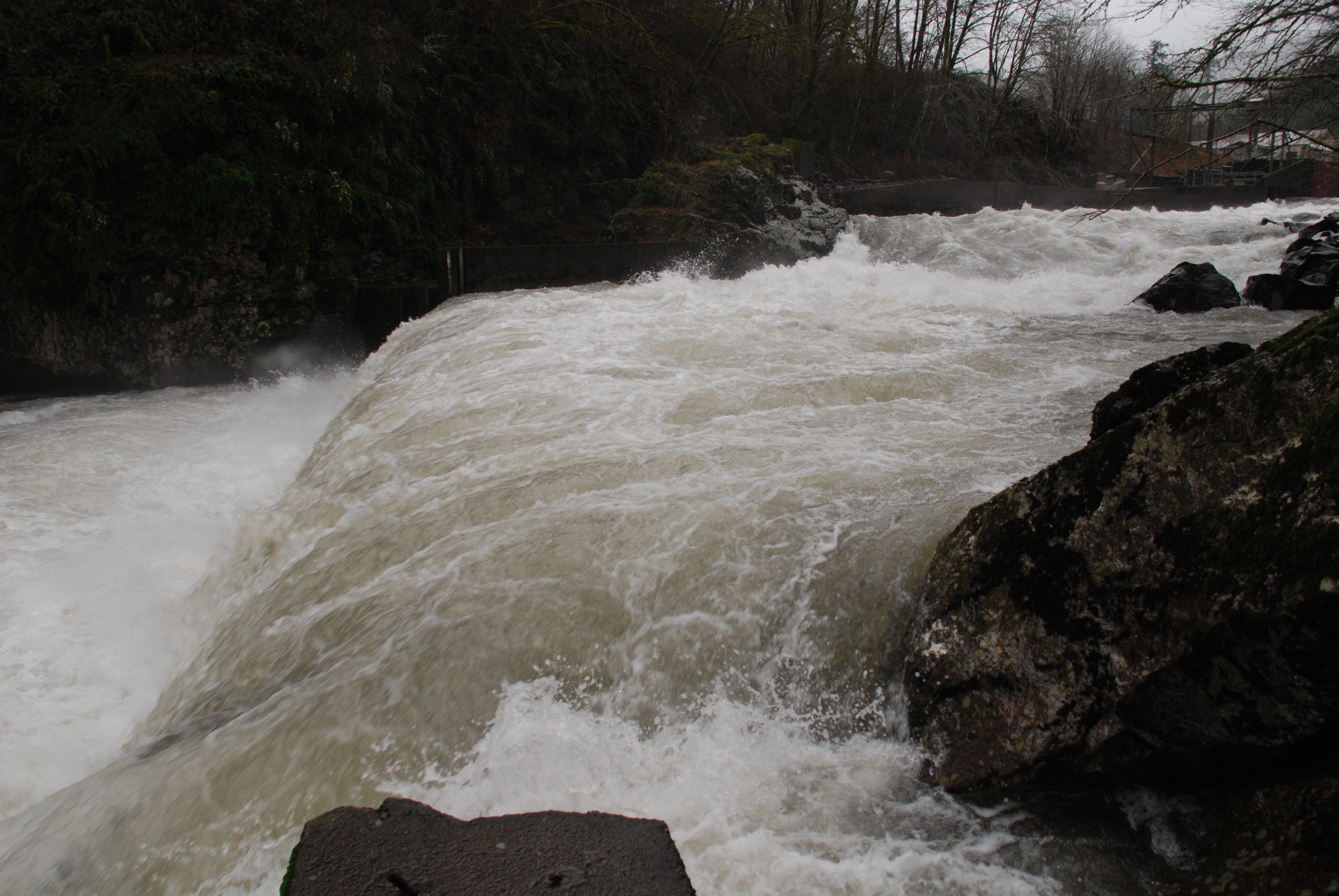 Lower Kalama Falls