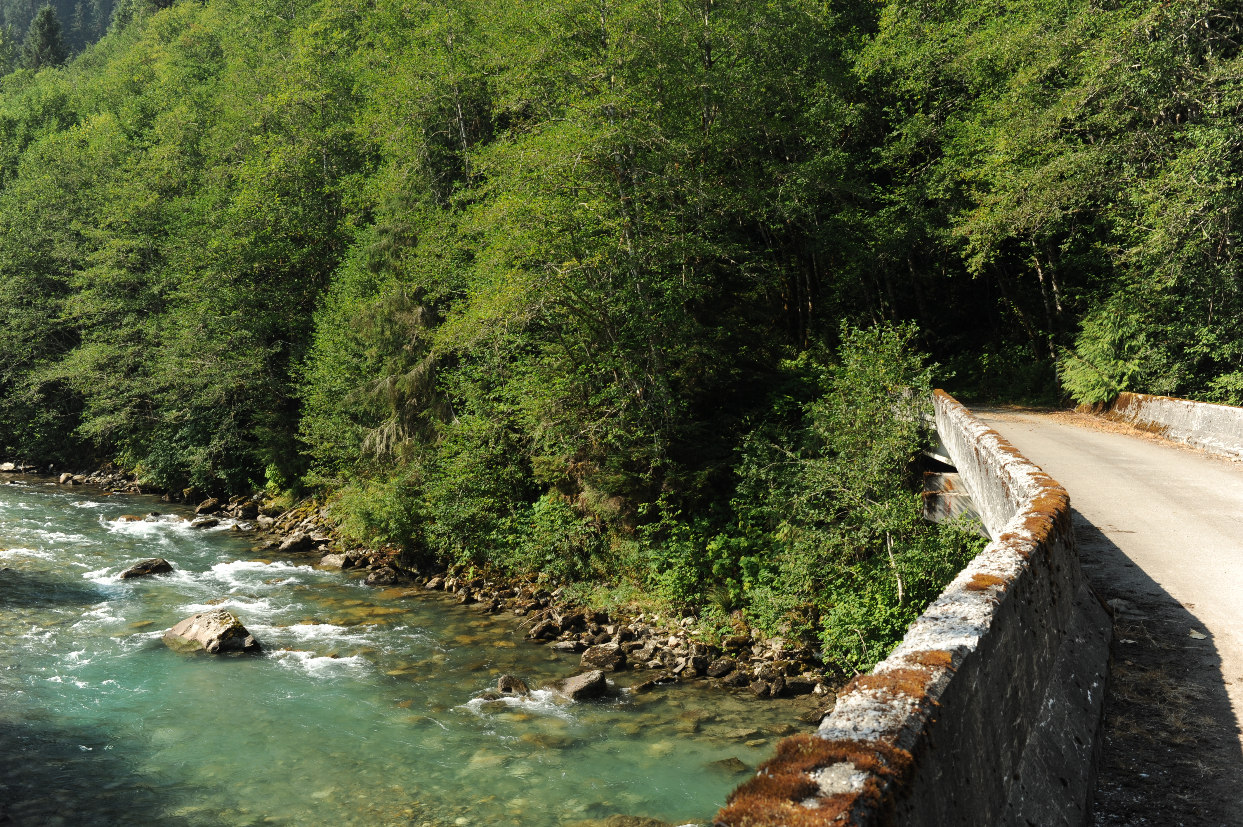 Forest Road 1570 Bridge Access
