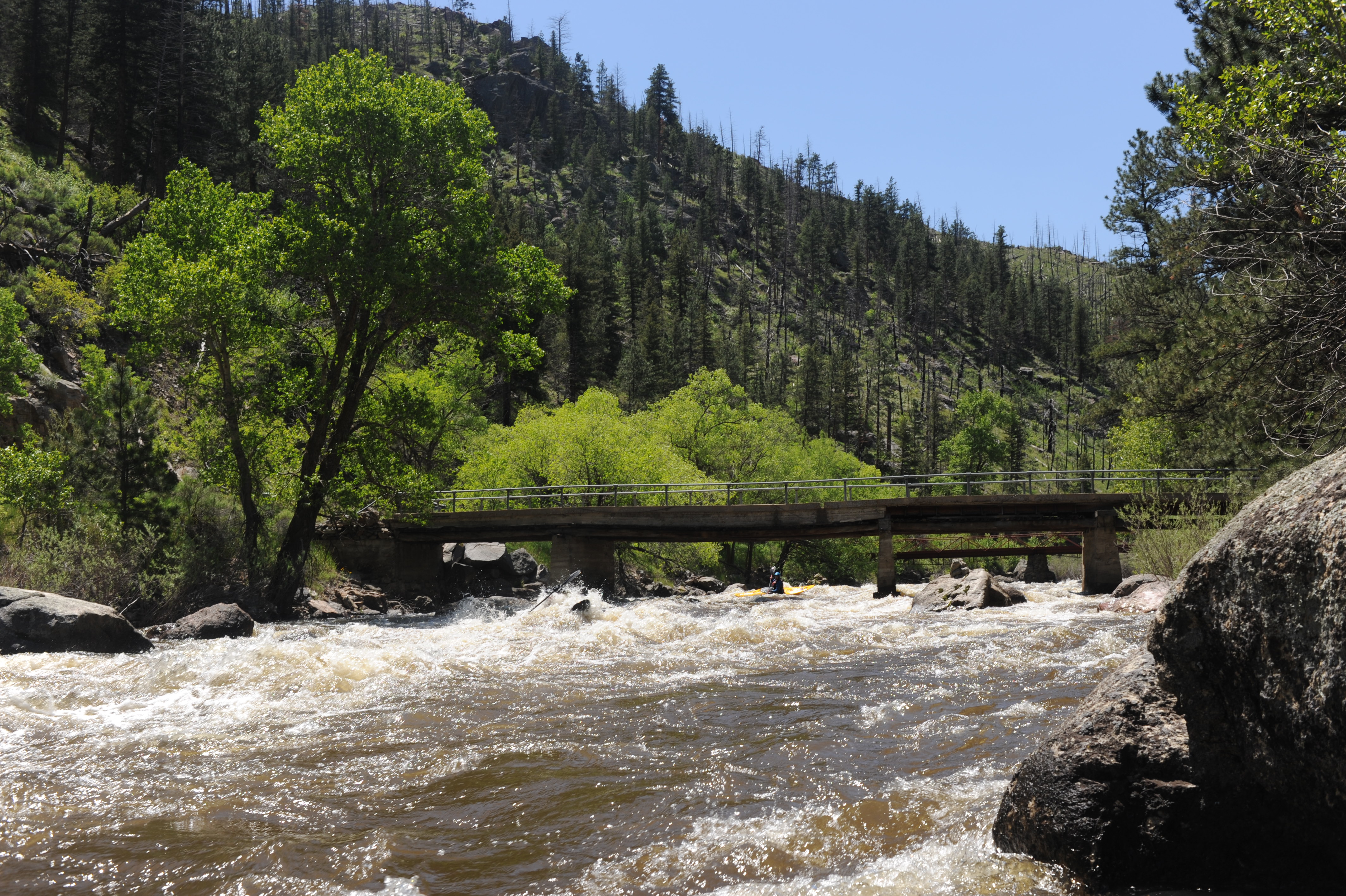 Double Bridges rapid