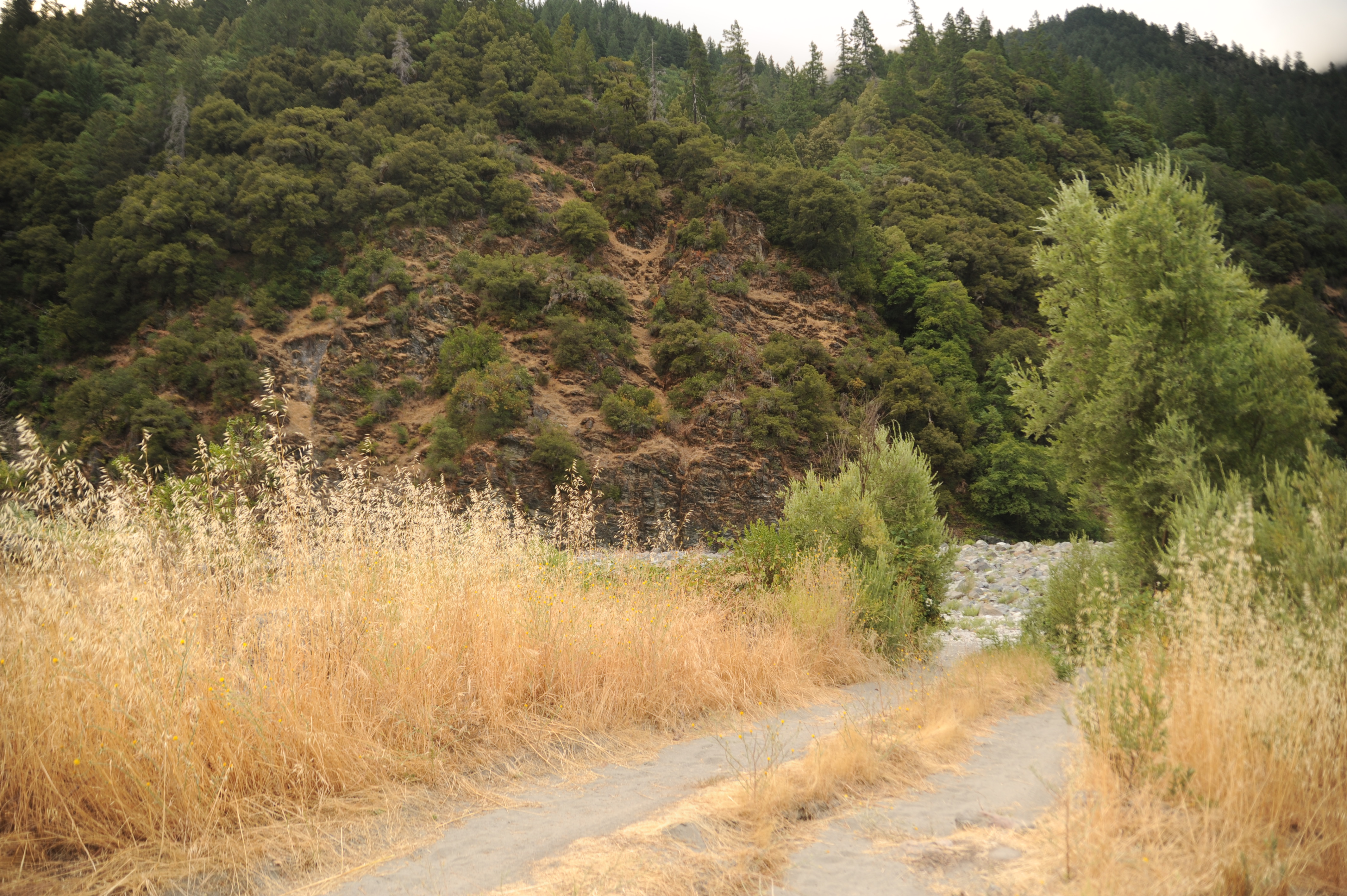 Aikens Creek Recreation Area