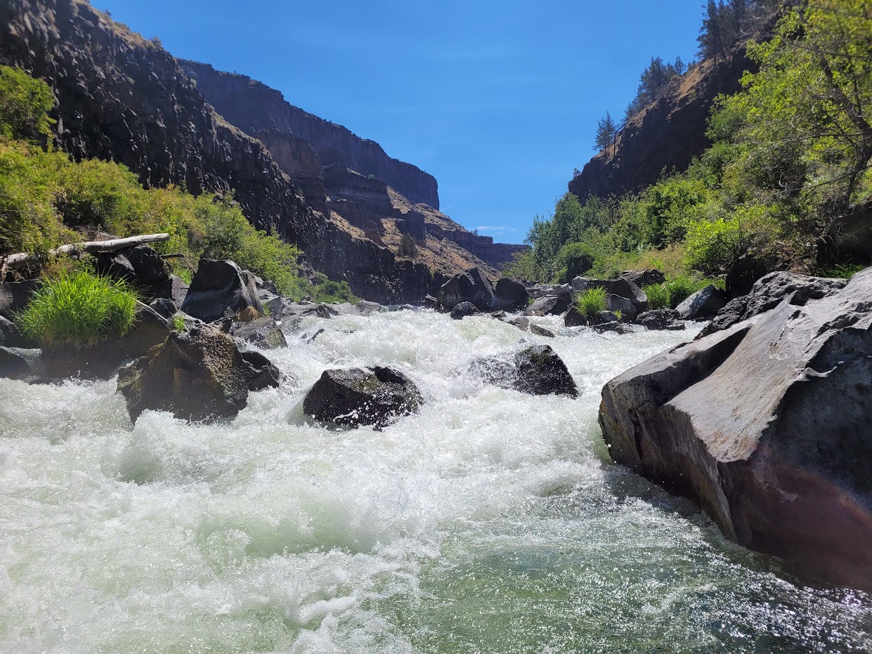 Looking back upstream at "The Wave".