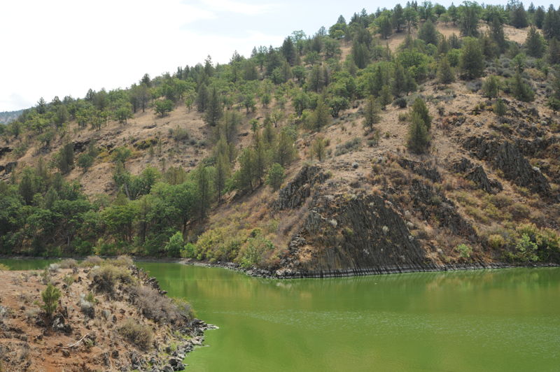 Iron Gate Reservoir Algal Bloom