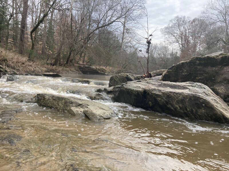 Start of the rapid at the first busted dam at Picketts Mill rd.