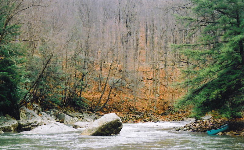 Rapid