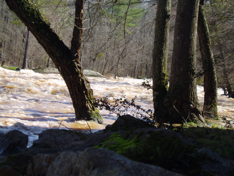 First Rapid Below the Dam 8