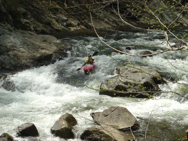 Tellico above baby