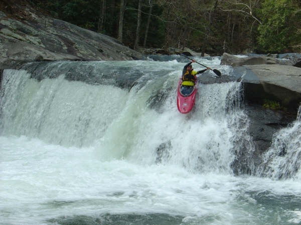 Tellico--baby