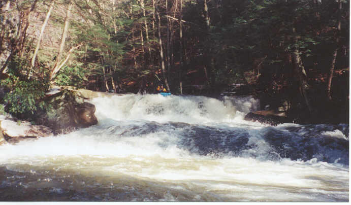 Drakes, early in the run
