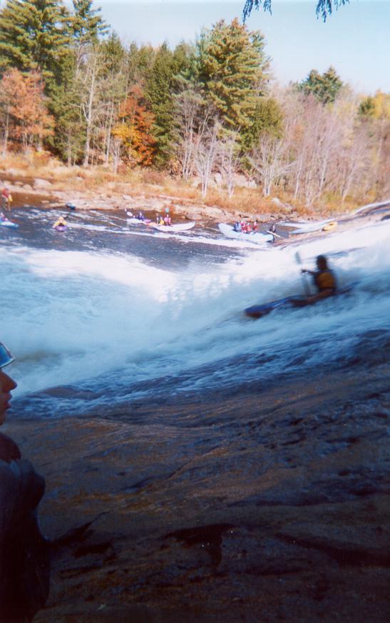 Fowlersville on the Moose