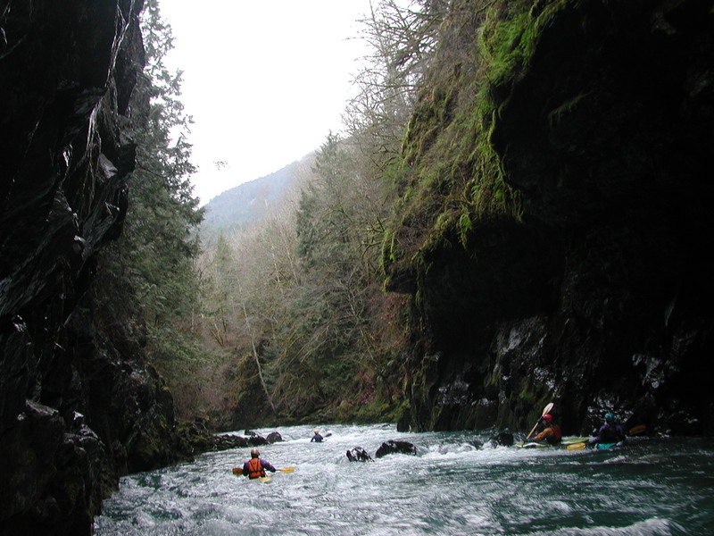 Lower Dosewallips Gorge