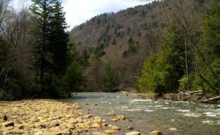 A Beautiful Mountain Stream