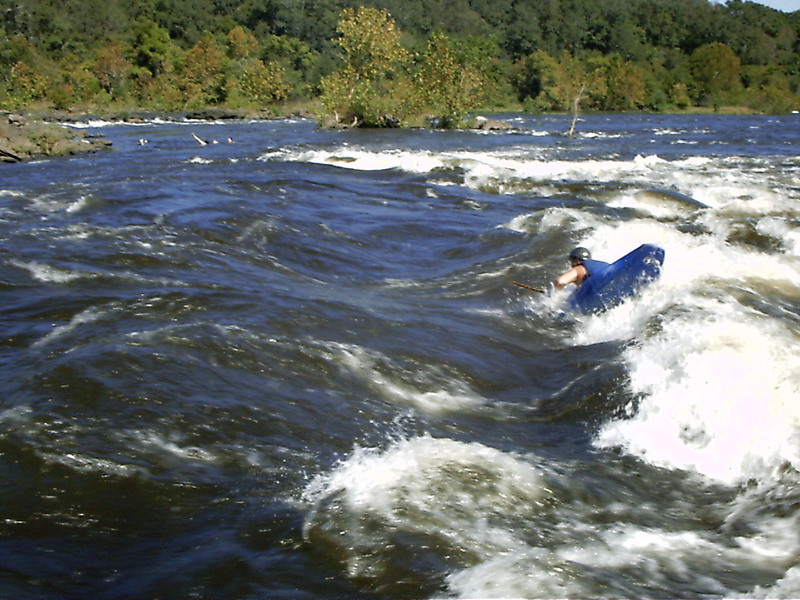 Little Cartwheel Action, Coosa