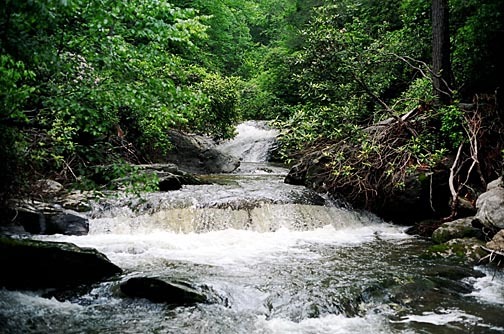 Chattooga Headwaters