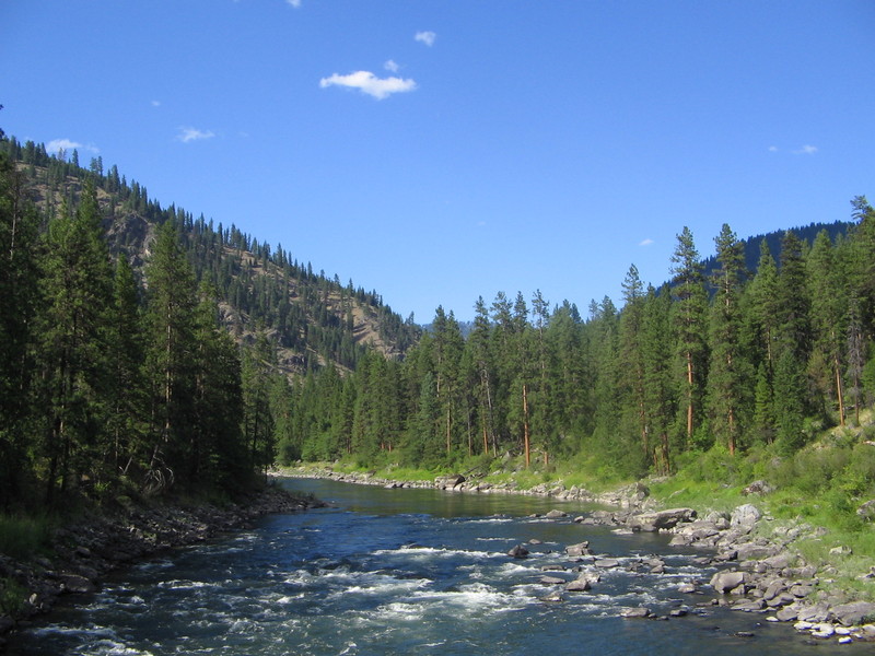 Main Salmon from the Campbell's Ferry Bridge