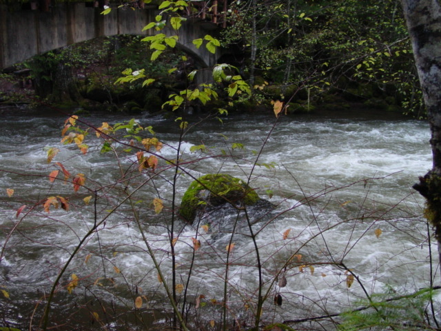 Gauge Rock