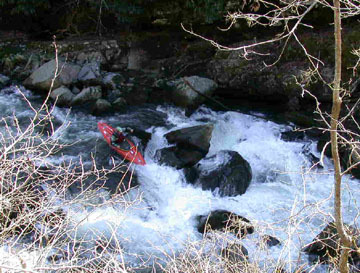 Cascades