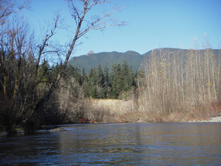 View of Mt. Si from the river