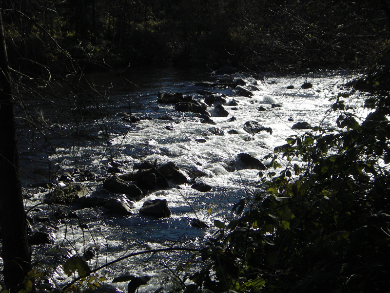 The Weir