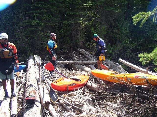 Laffs on the logs