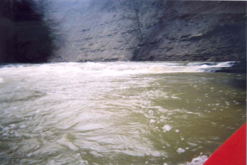 Typical Rapid