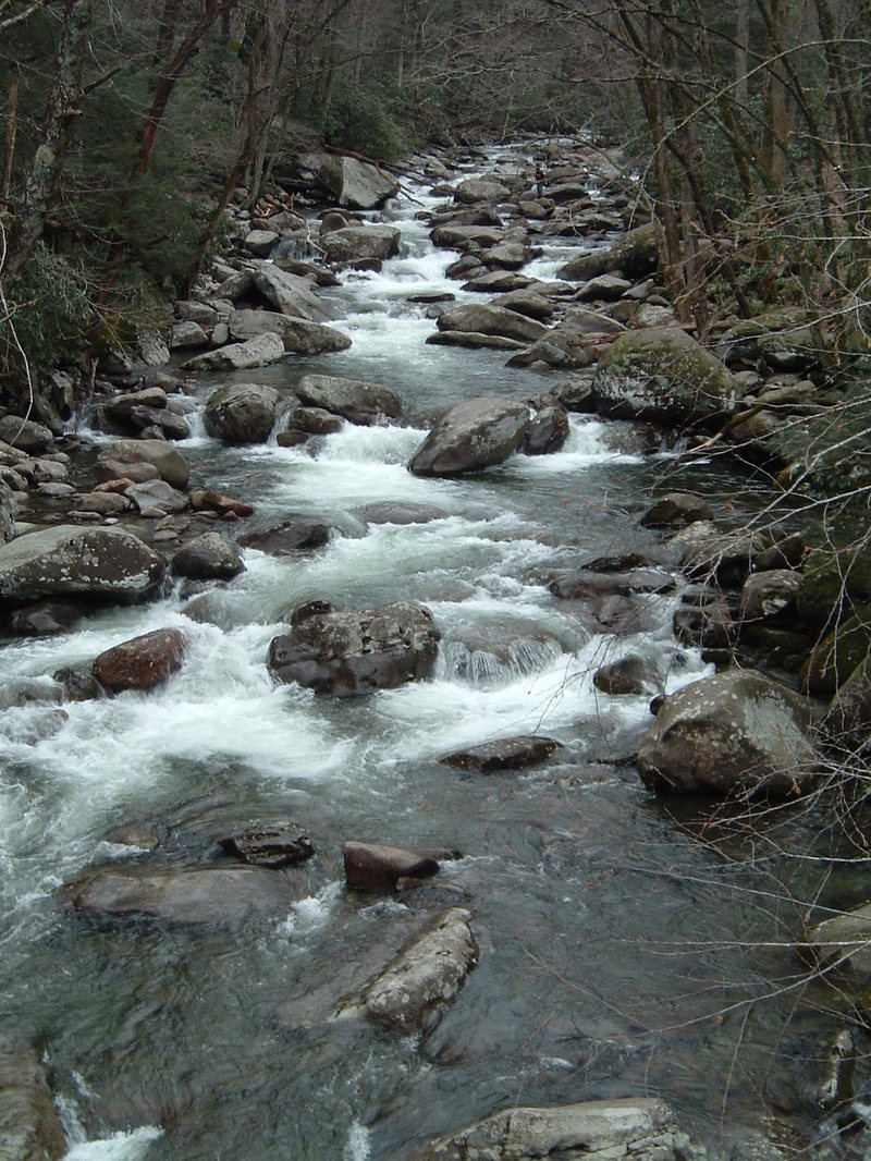 WEst Prong - From put-in bridge looking upstream