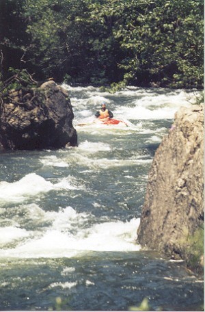 Savage!