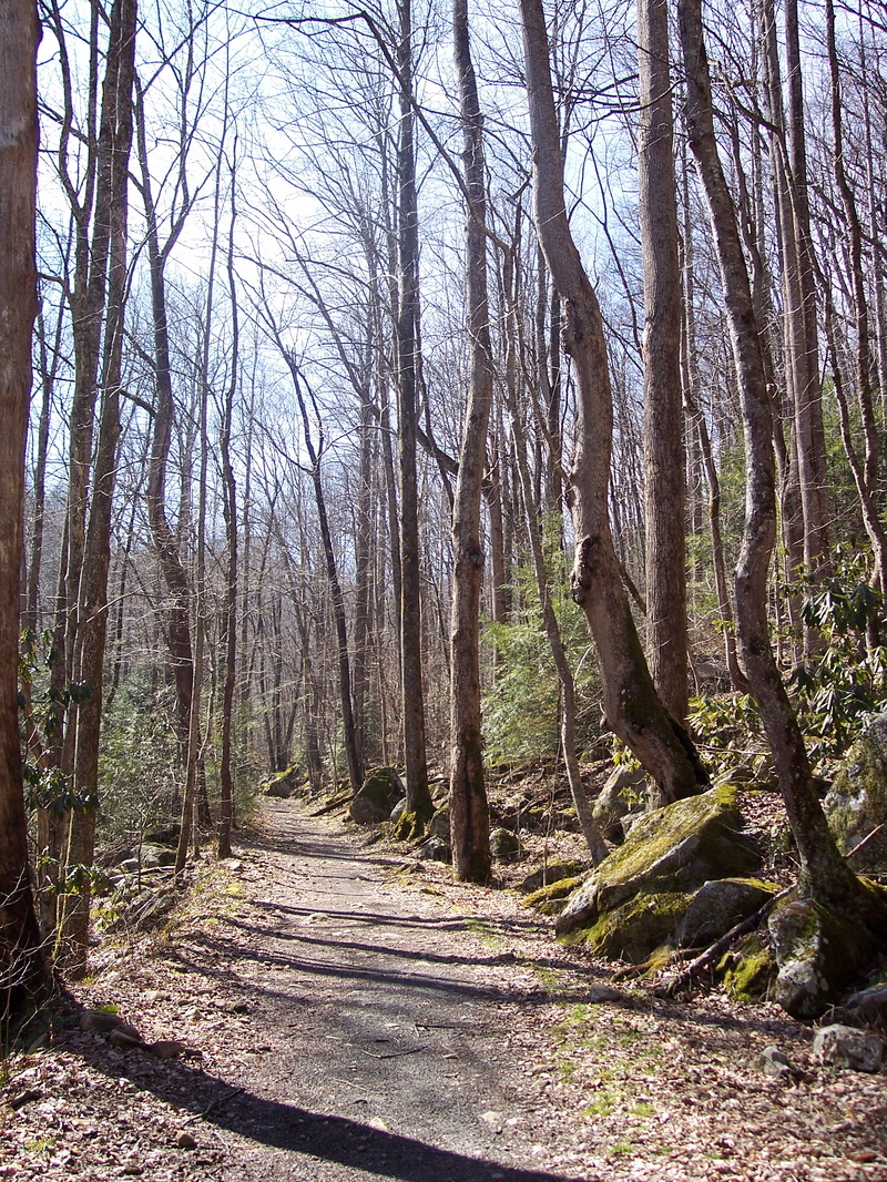 Hike in