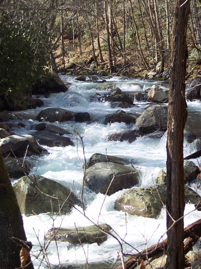 1st rapid below put-in bridge