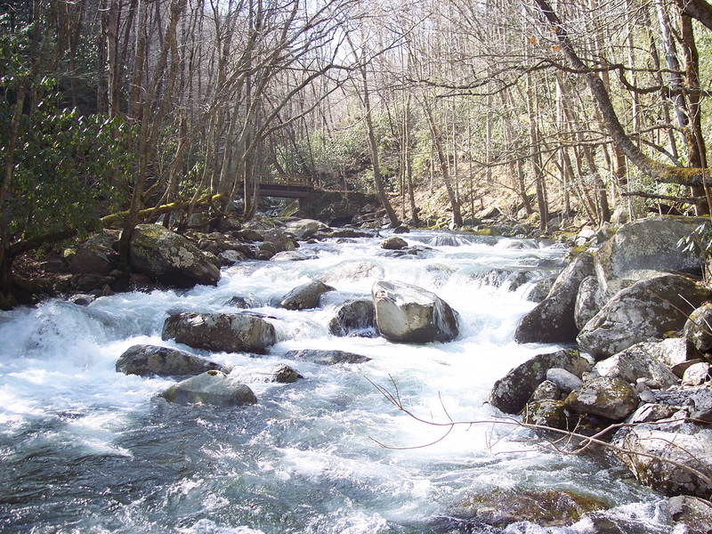 Bridge at put-in
