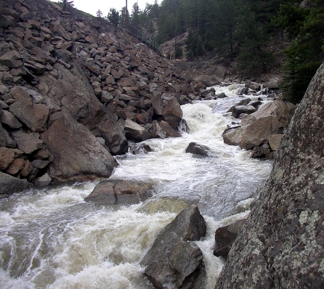Looking up Trainspotting Rapid