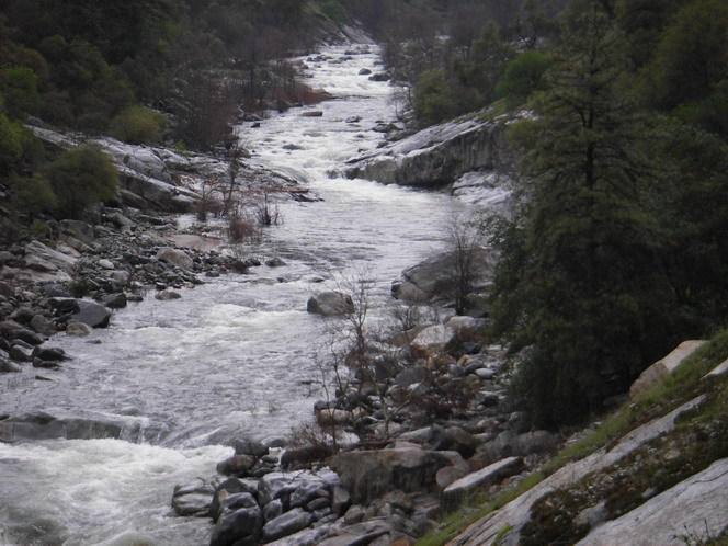 Tricky Rapid