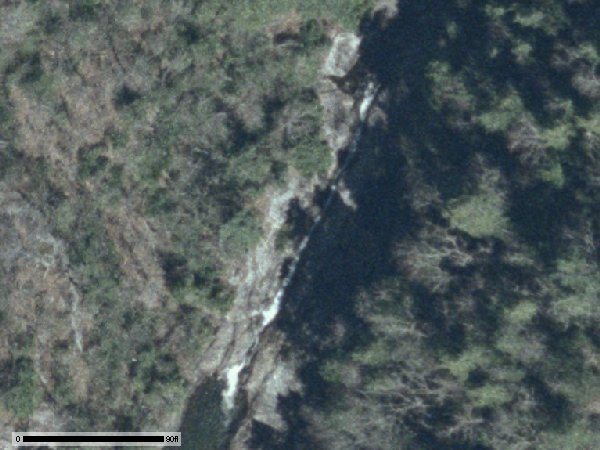 tube rapid