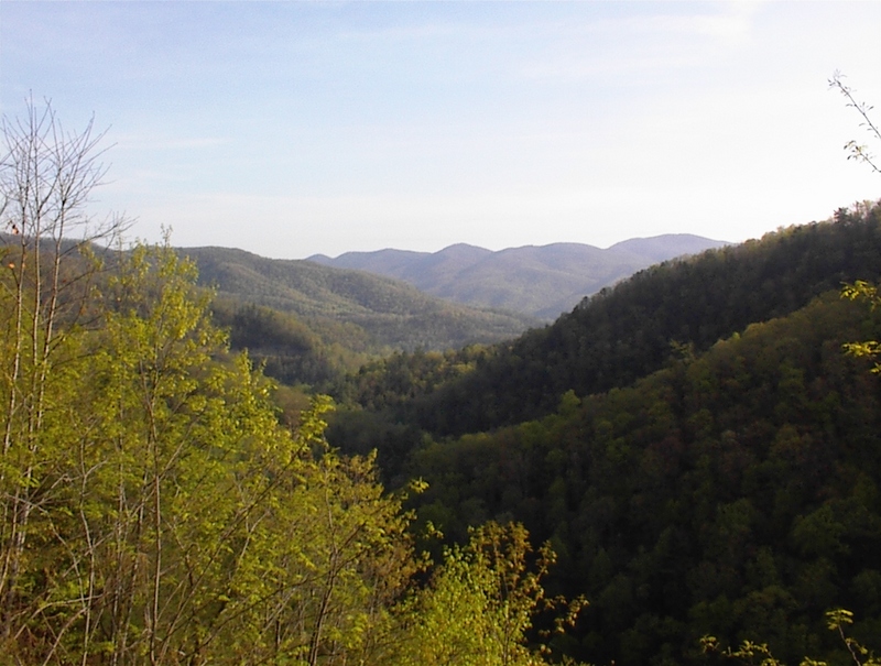 Nice view