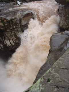 Fawn's Leap