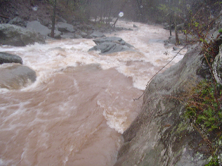 Gorge Section