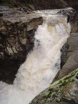 Fawn's Leap