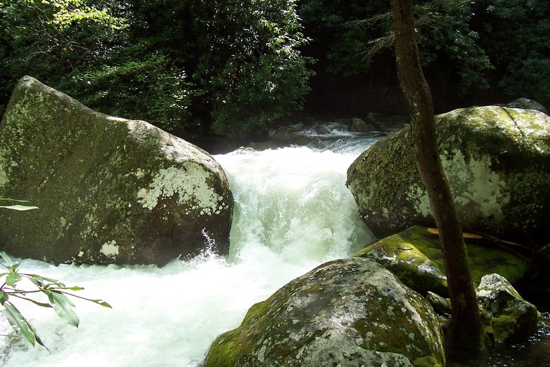 Upper Big Creek