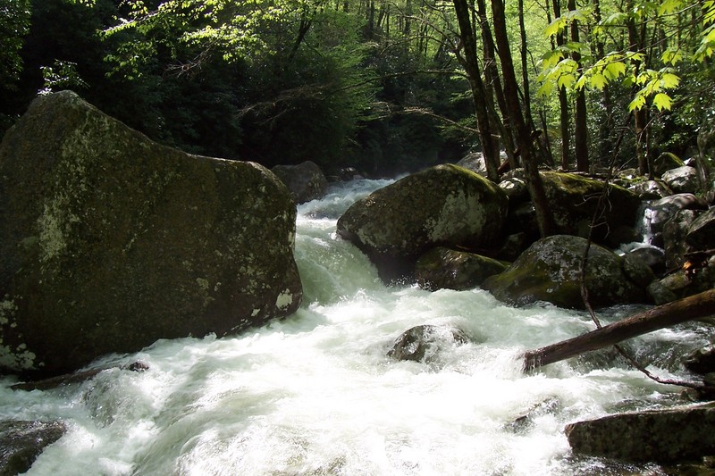 Upper Big Creek