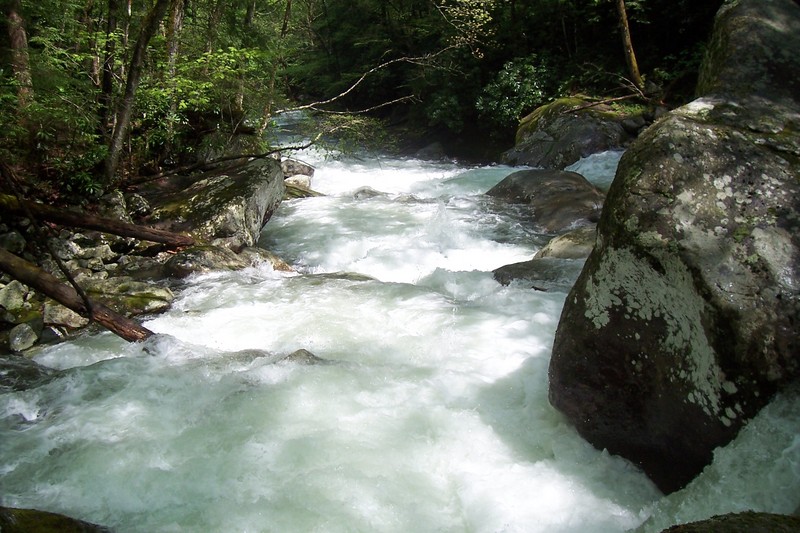 Upper Big Creek