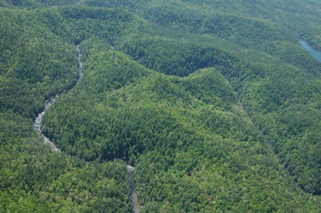 Chattooga Section 1