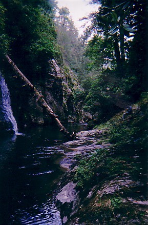 Sec. 00 Gorge