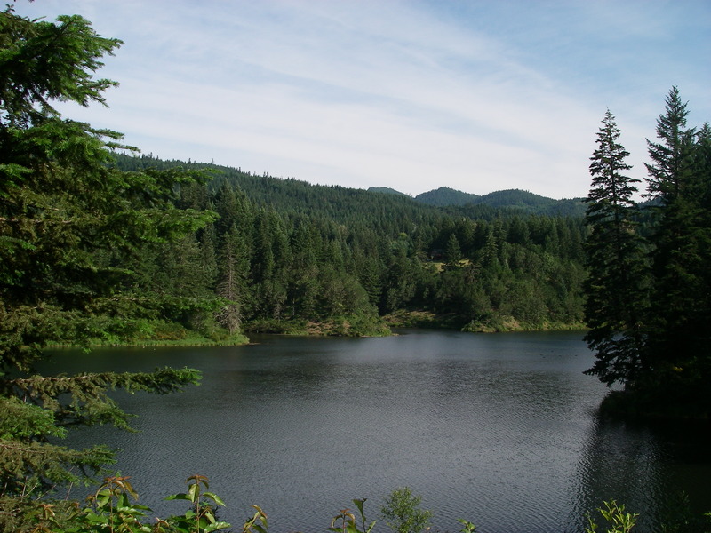 Scouting Trip of Lower Gorge