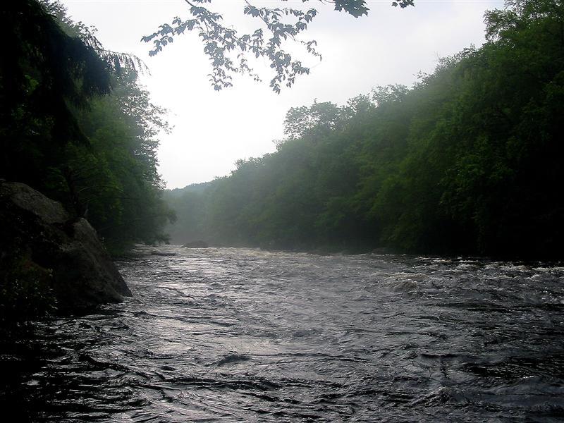 Middle Branch, Moose