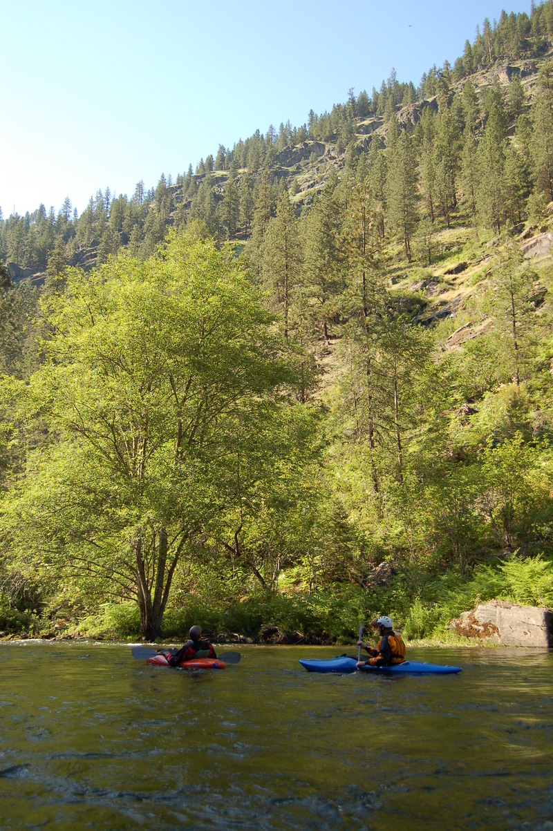 Lower Lolo Creek with Deciduous Riparian Trees